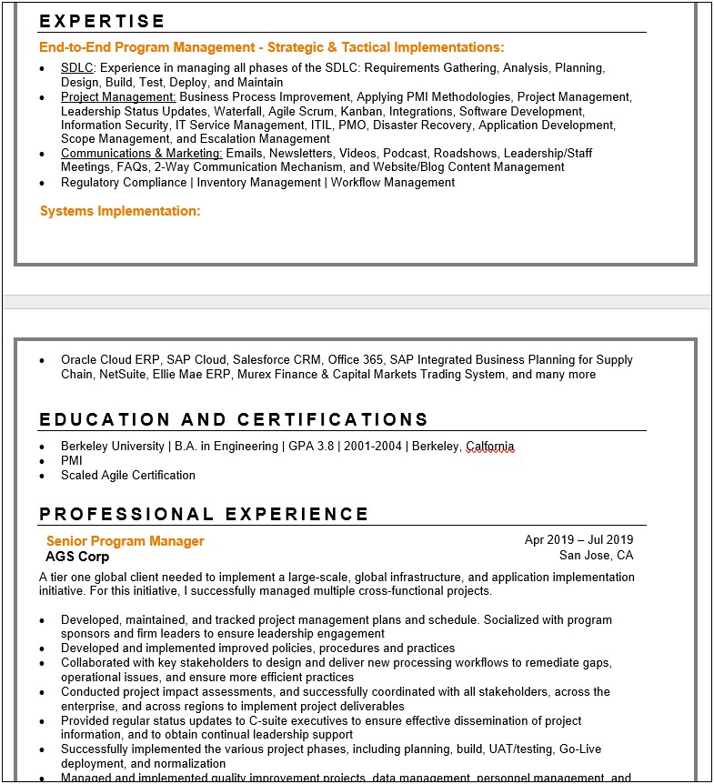 Seo Works For Project Management Resume