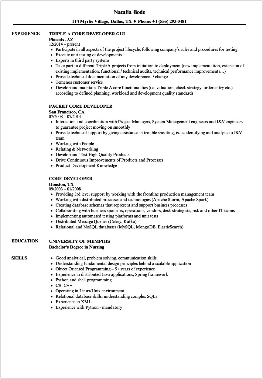 Show Industry Domain Experience In Resume