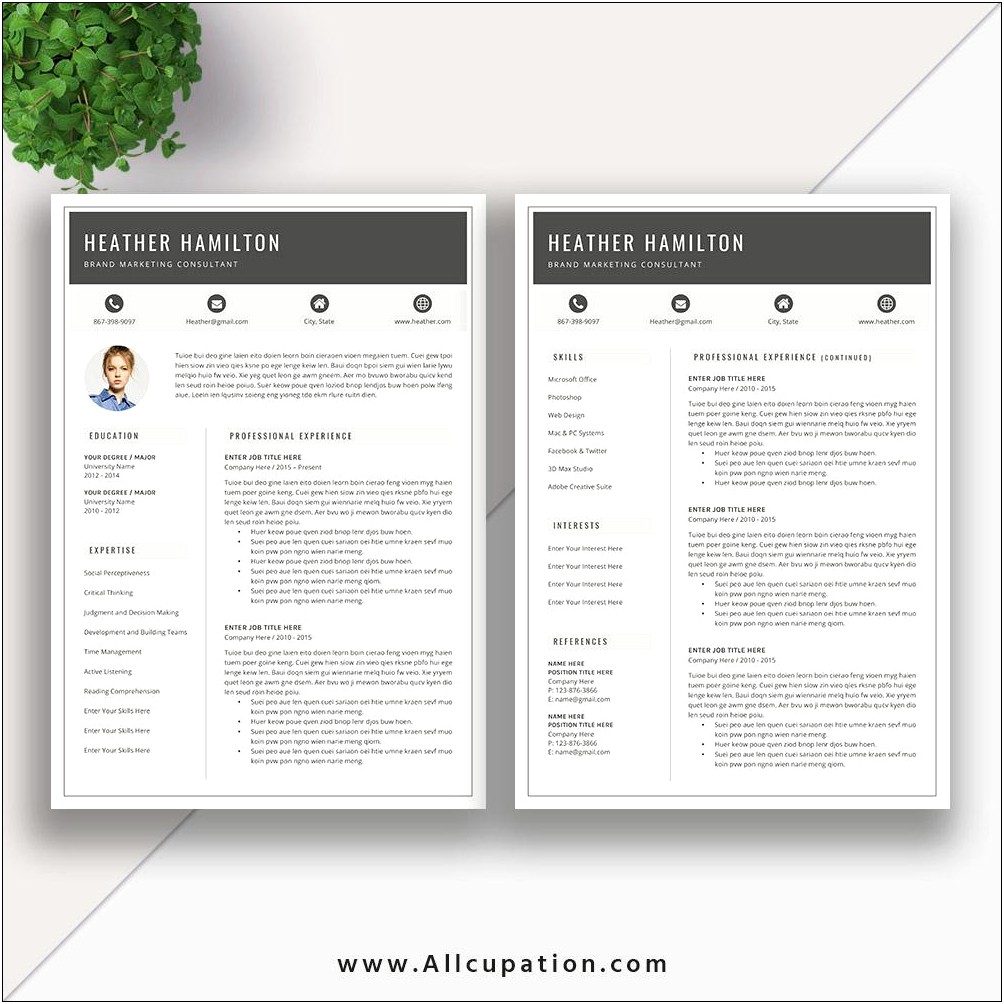 Simple And Creative Resume Layout Examples