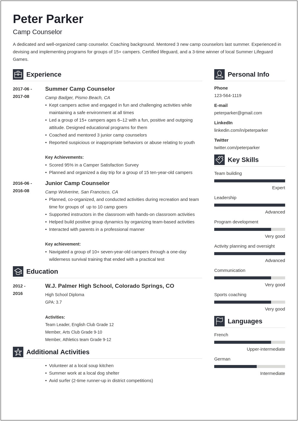 Skills Area Director Camp Counselor Resume
