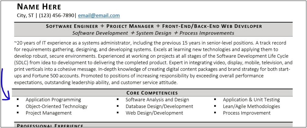 Software Skills Section Of Resume Examples