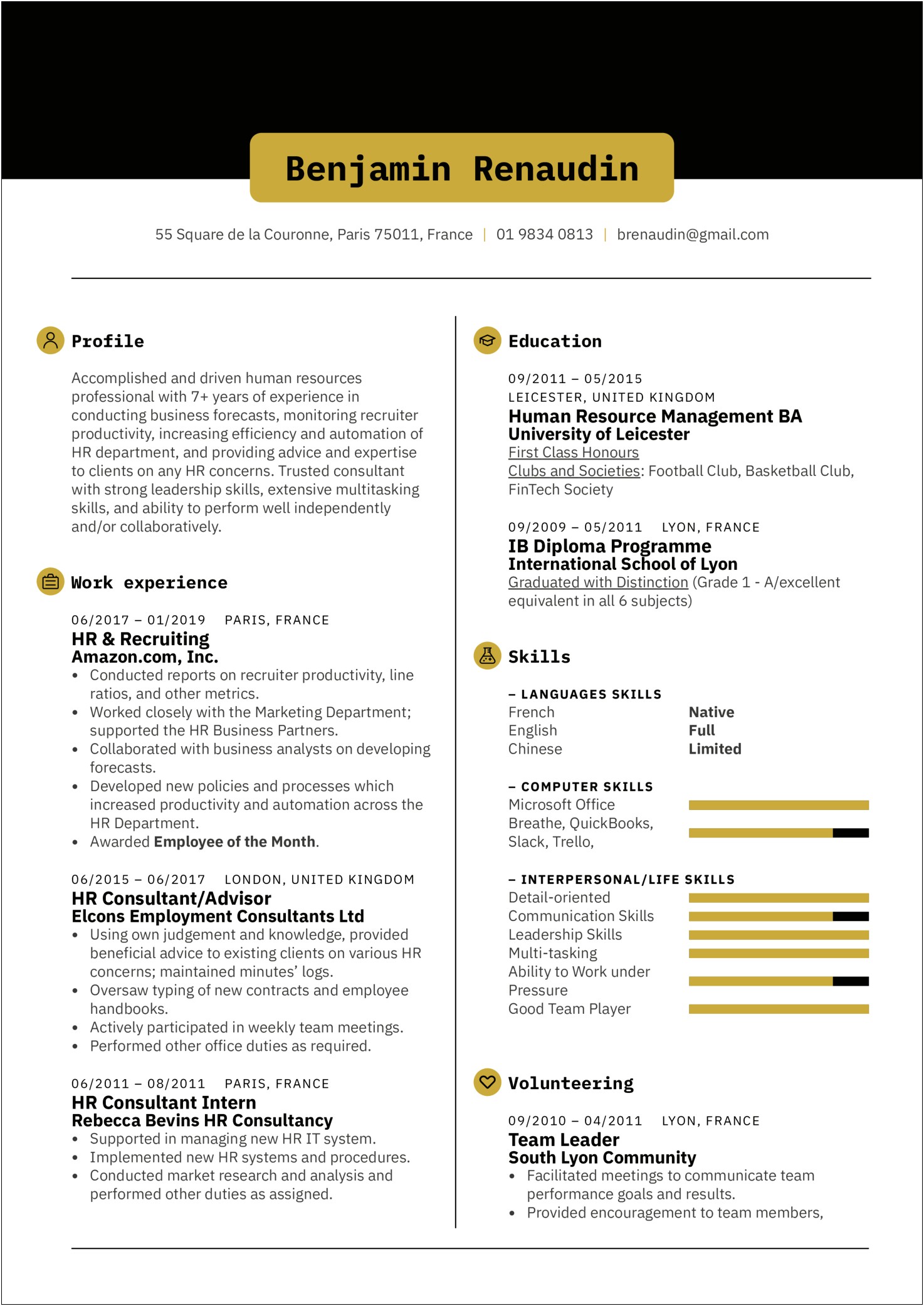 Template For Resumes For Independent Consultants