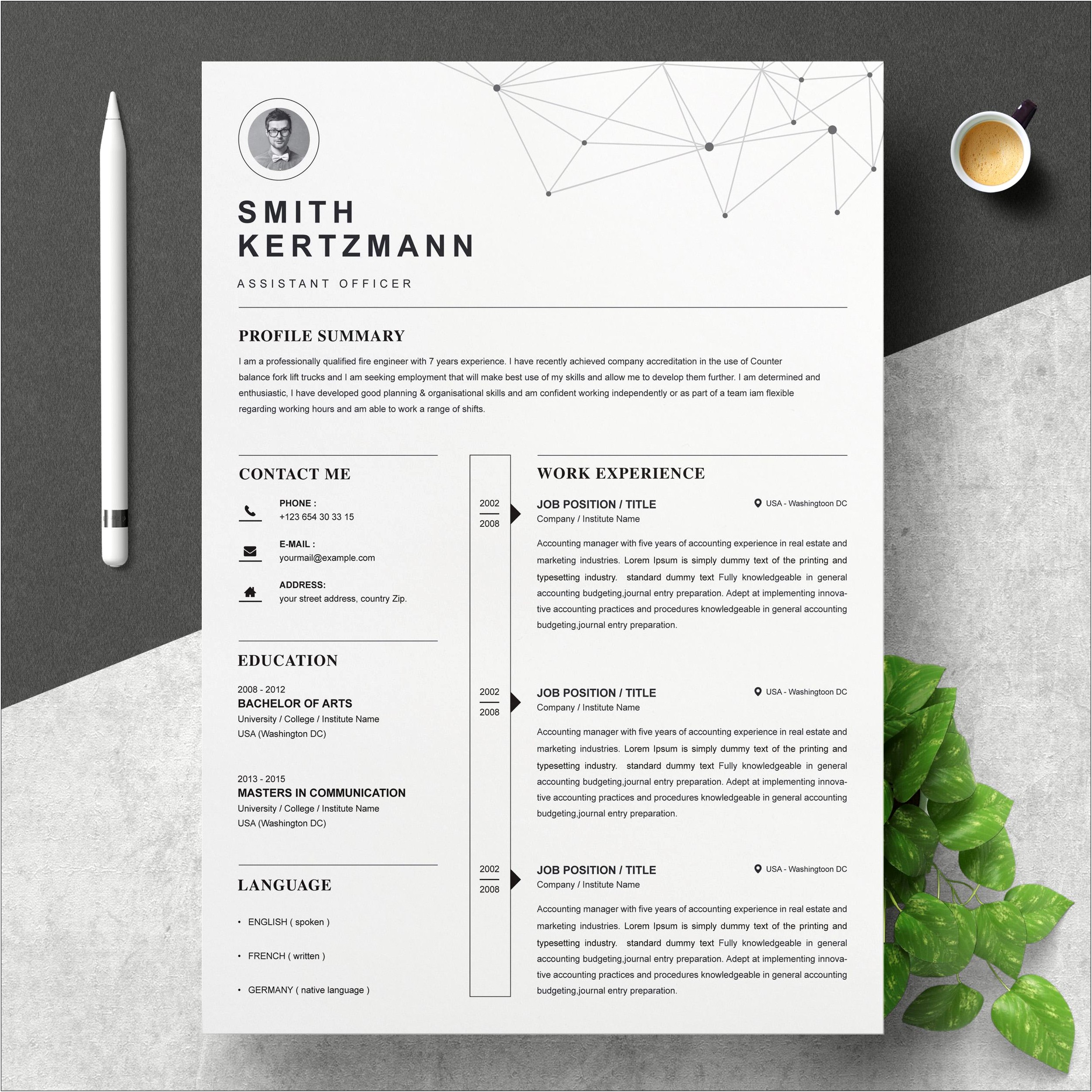 Templates For Professional Resumes For Accountants