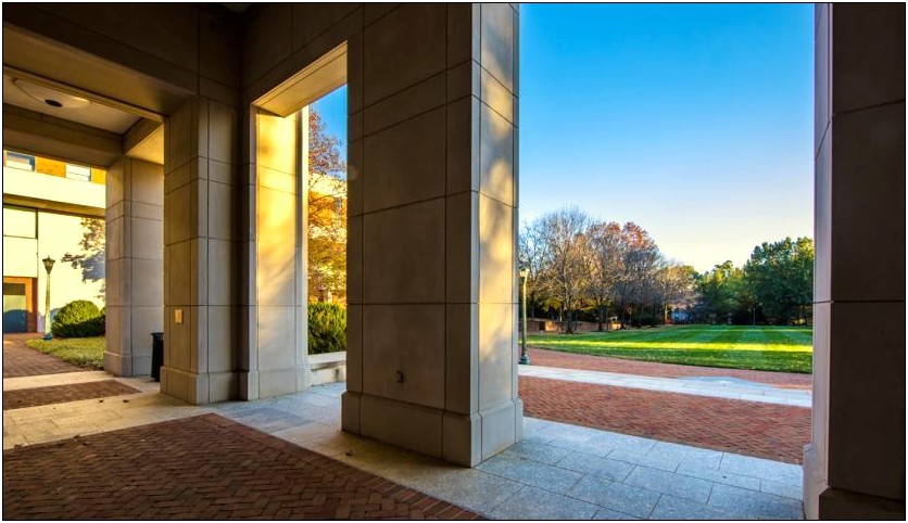 University Of Virginia Law School Resumes