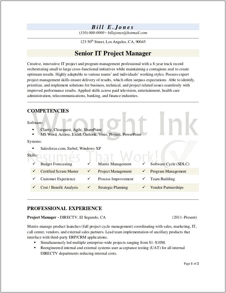 Vendor And Marketing Technology Manager Resume