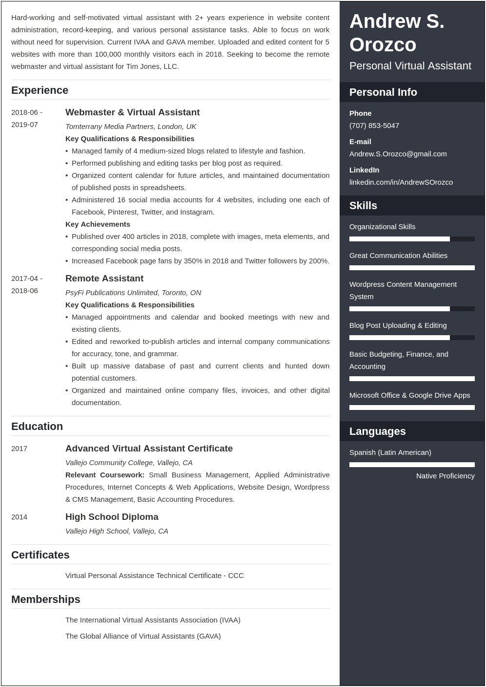 Virtual Work Experience On Resume Examples