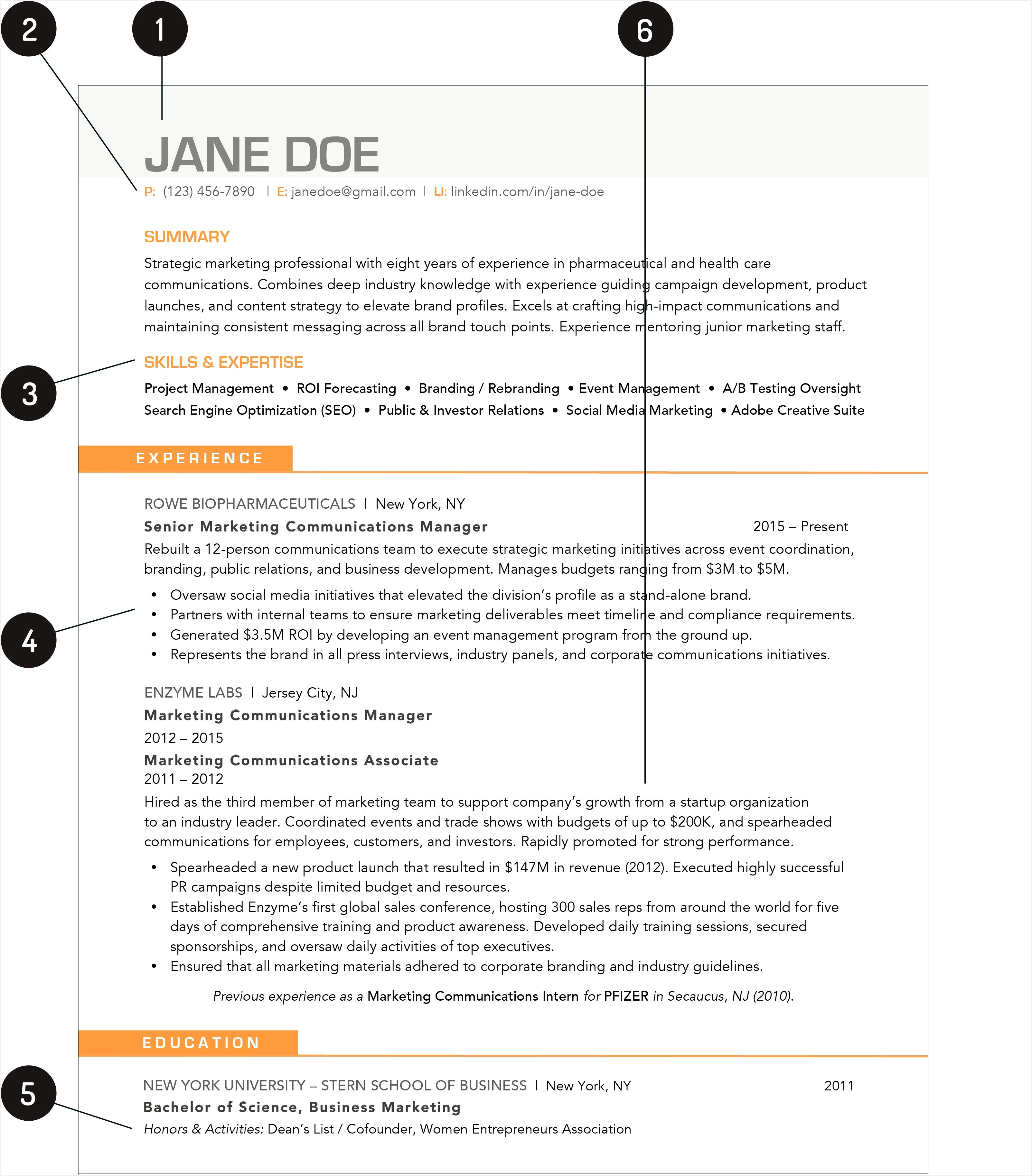 Which Template Should I Use Resume