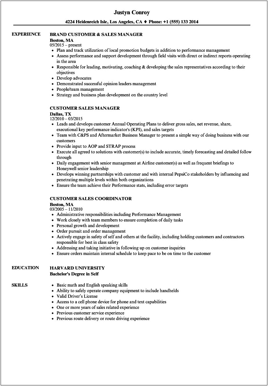 Work Experience Resume Cell Phone Sales