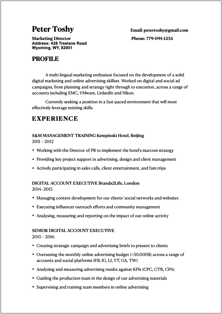Working In Fast Paced Environment Resume