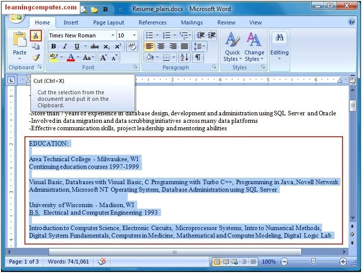 Writing A Resume Using Microsoft Word 2007